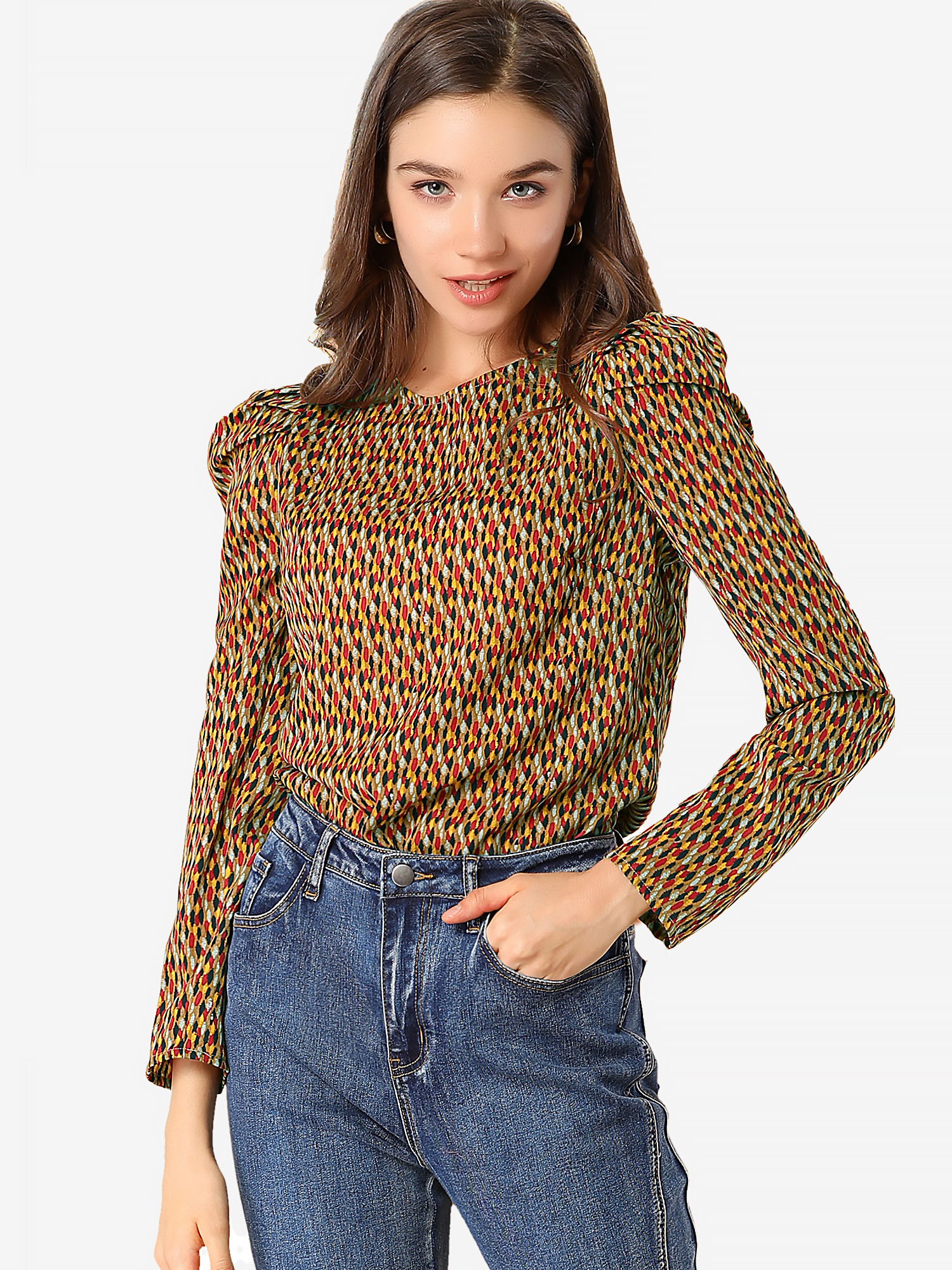 Retro Puff Long Sleeve Round Neck Puffy Chiffon Blouse Tops Brown/XL