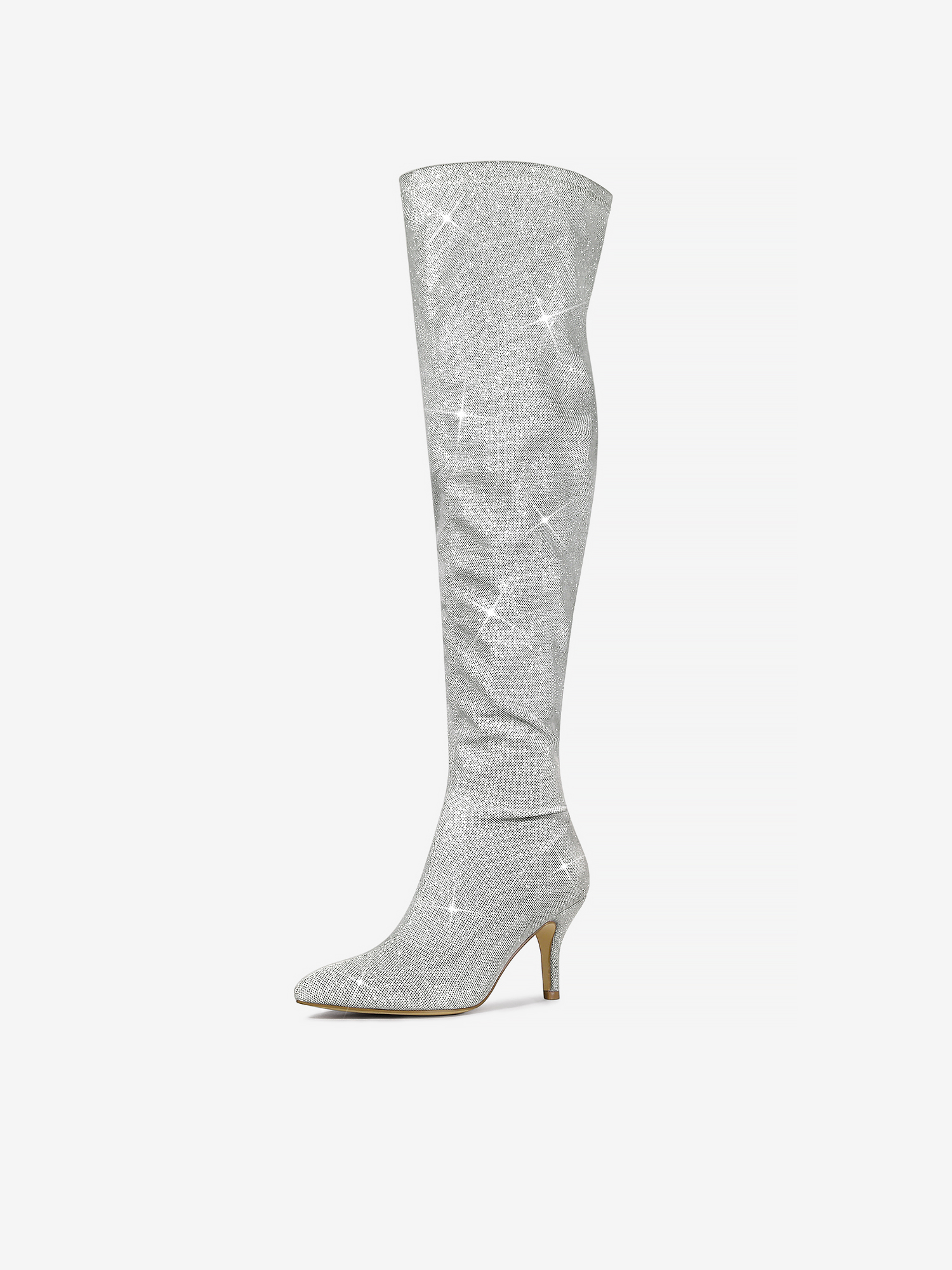 Glitter Pointed Toe Stiletto Heel Over the Knee High Boot Silver/11
