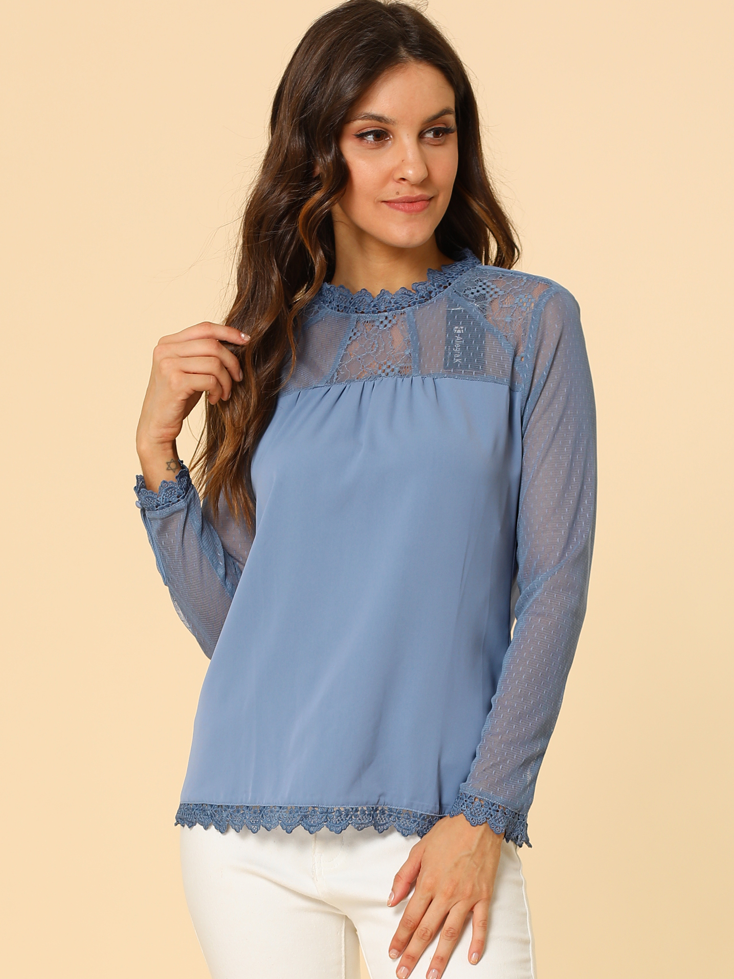 Lace Mesh Long Sleeve Round Neck Casual Elegant Blouse Dusty Blue/XS