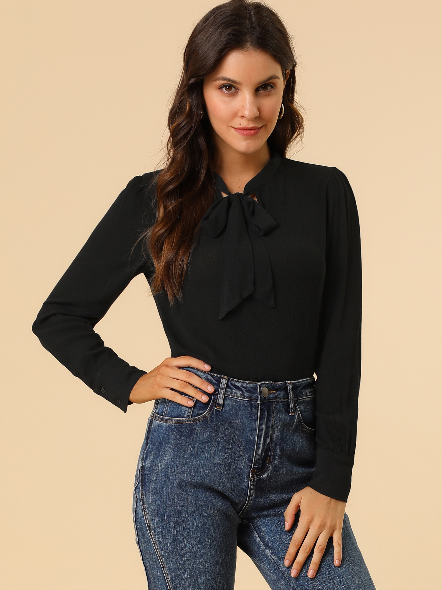 Bow Tie Neck Elegant Top Long Sleeve Solid Work Office Blouse Black/L