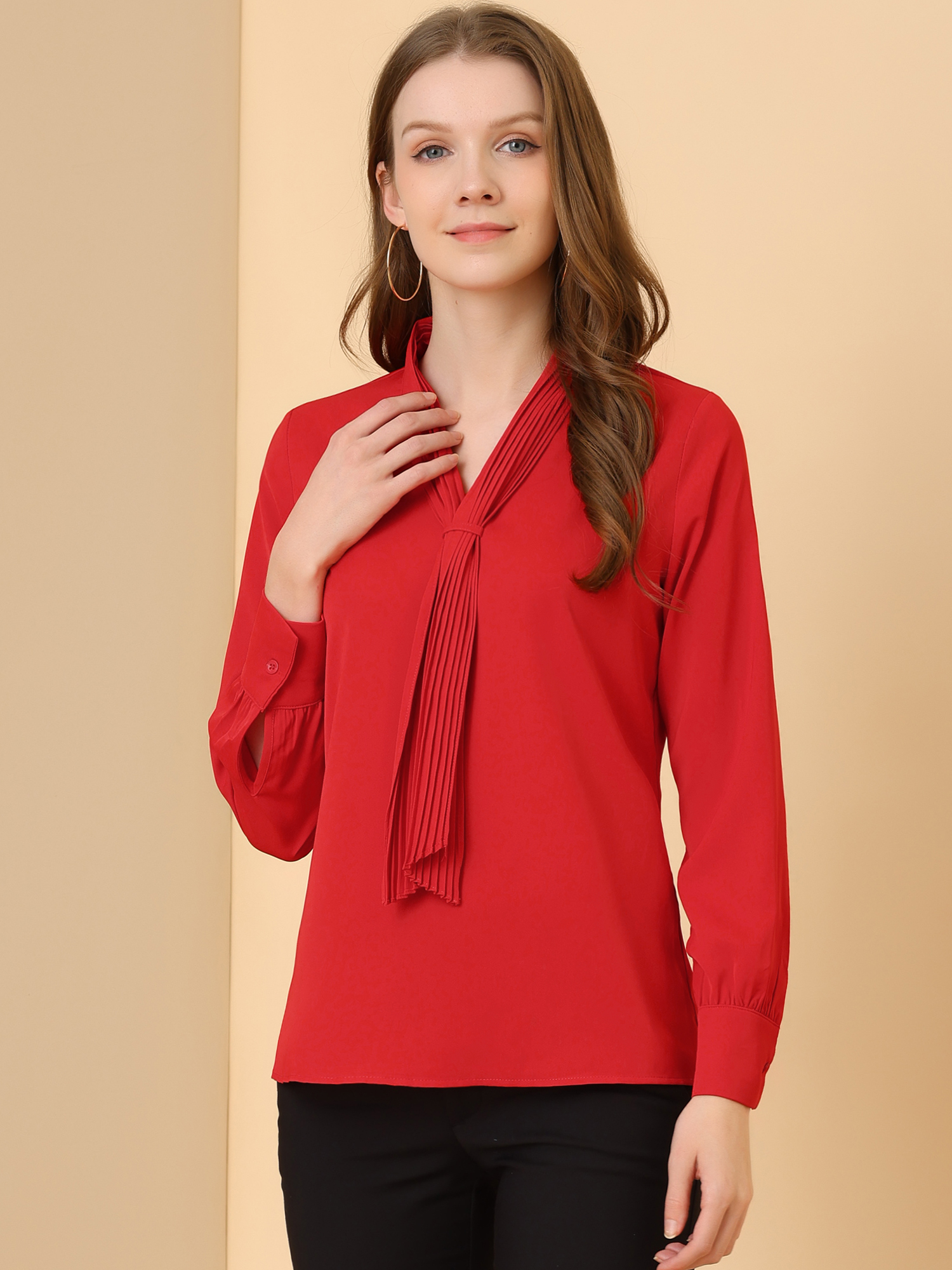 Long Sleeve Chiffon Pleated Tie Neck Office Blouse Red/S