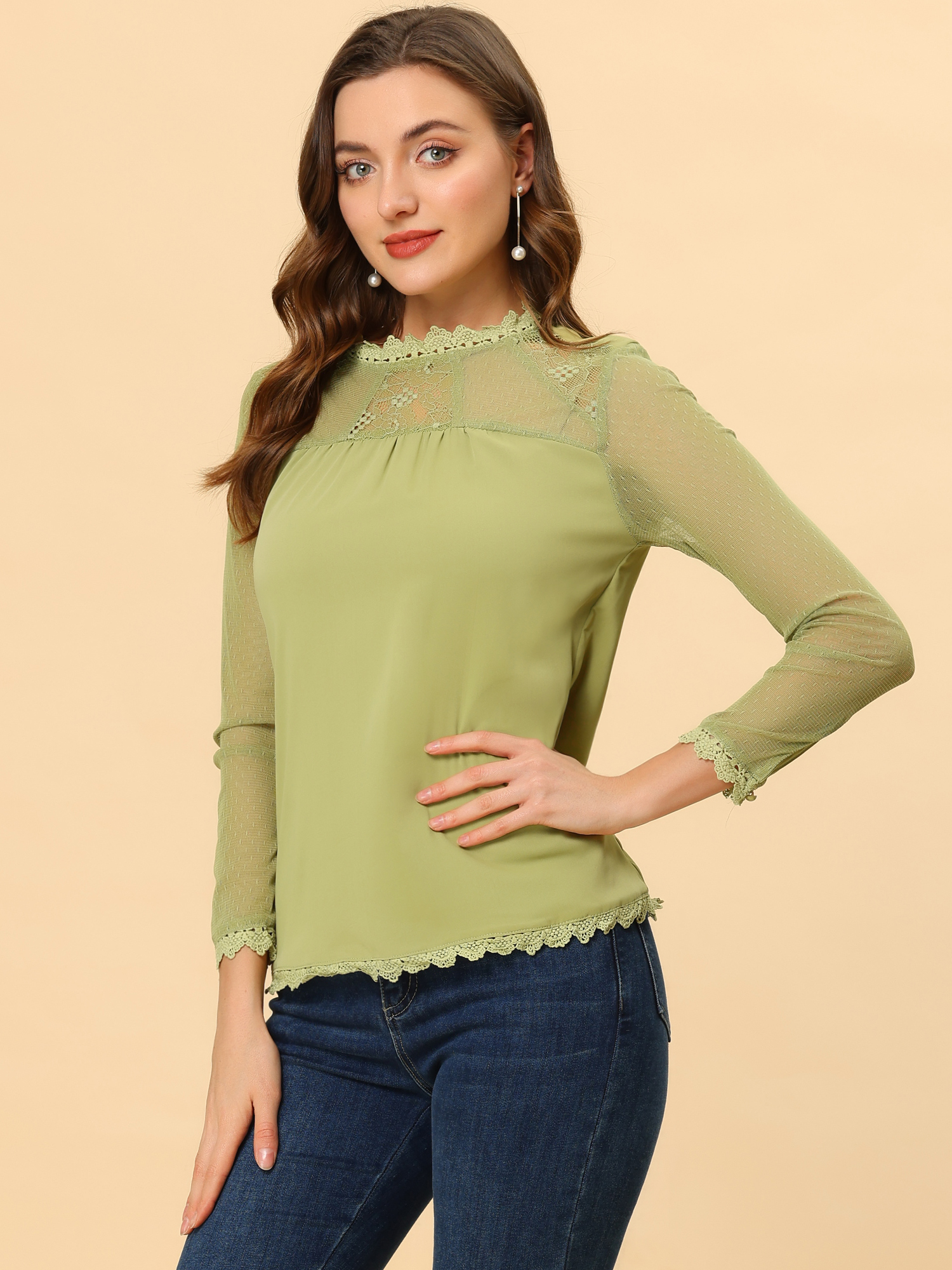 Lace Mesh Long Sleeve Round Neck Casual Elegant Blouse Pea Green/M