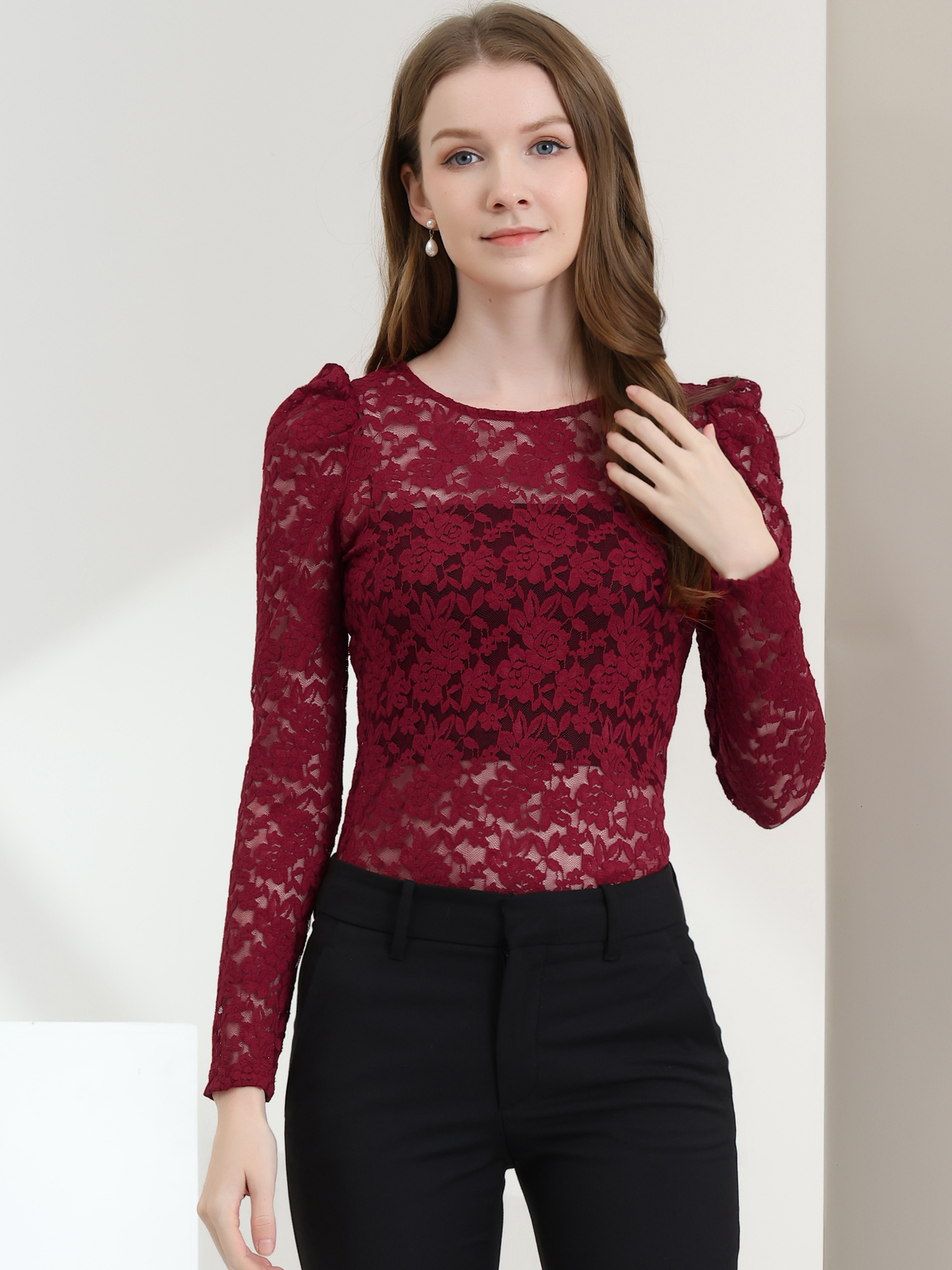 Retro Semi Sheer Puff Long Sleeve Embroidery Lace Blouse Dark Red/XL