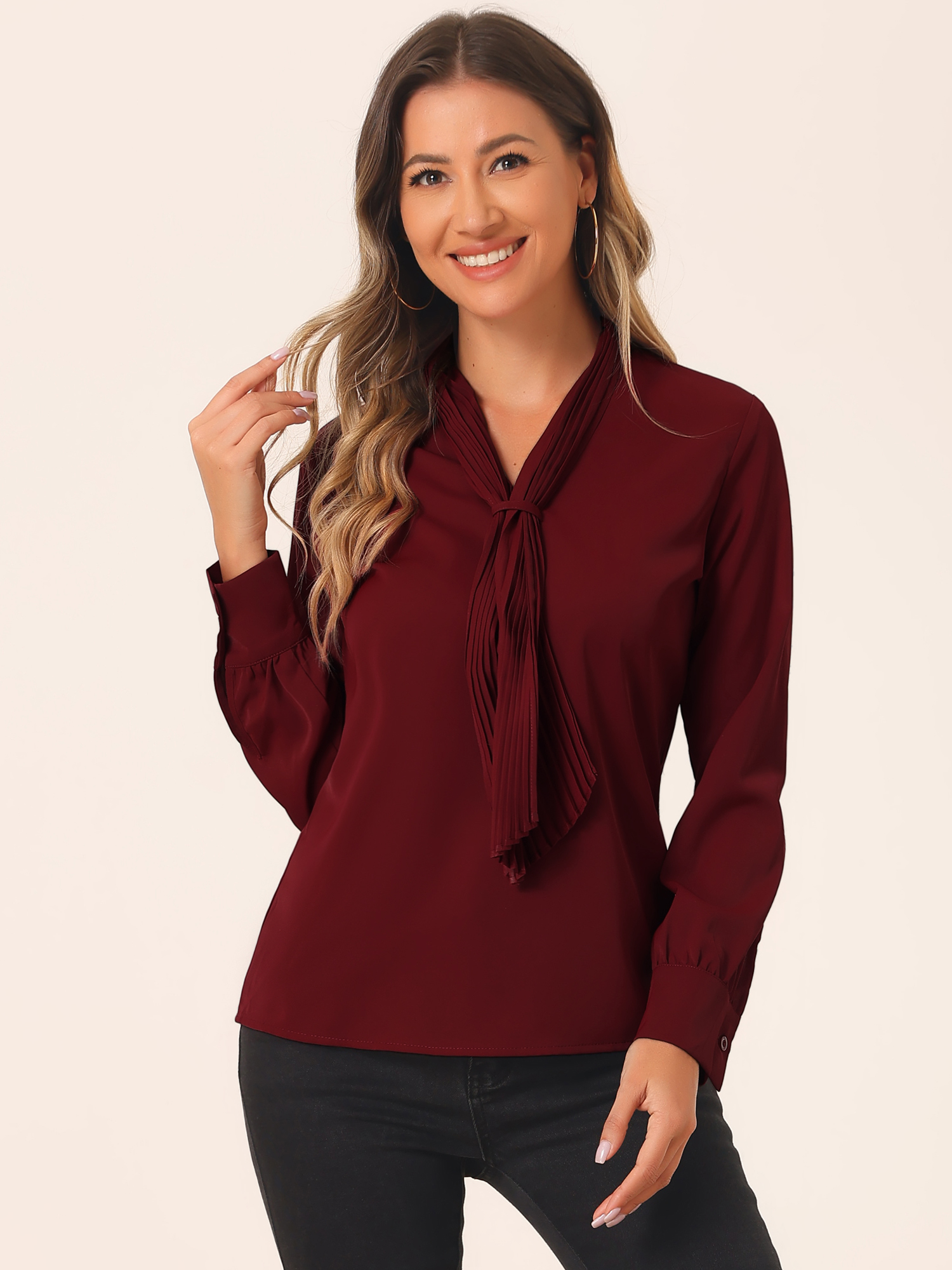 Long Sleeve Chiffon Pleated Tie Neck Office Blouse Dark Red/M