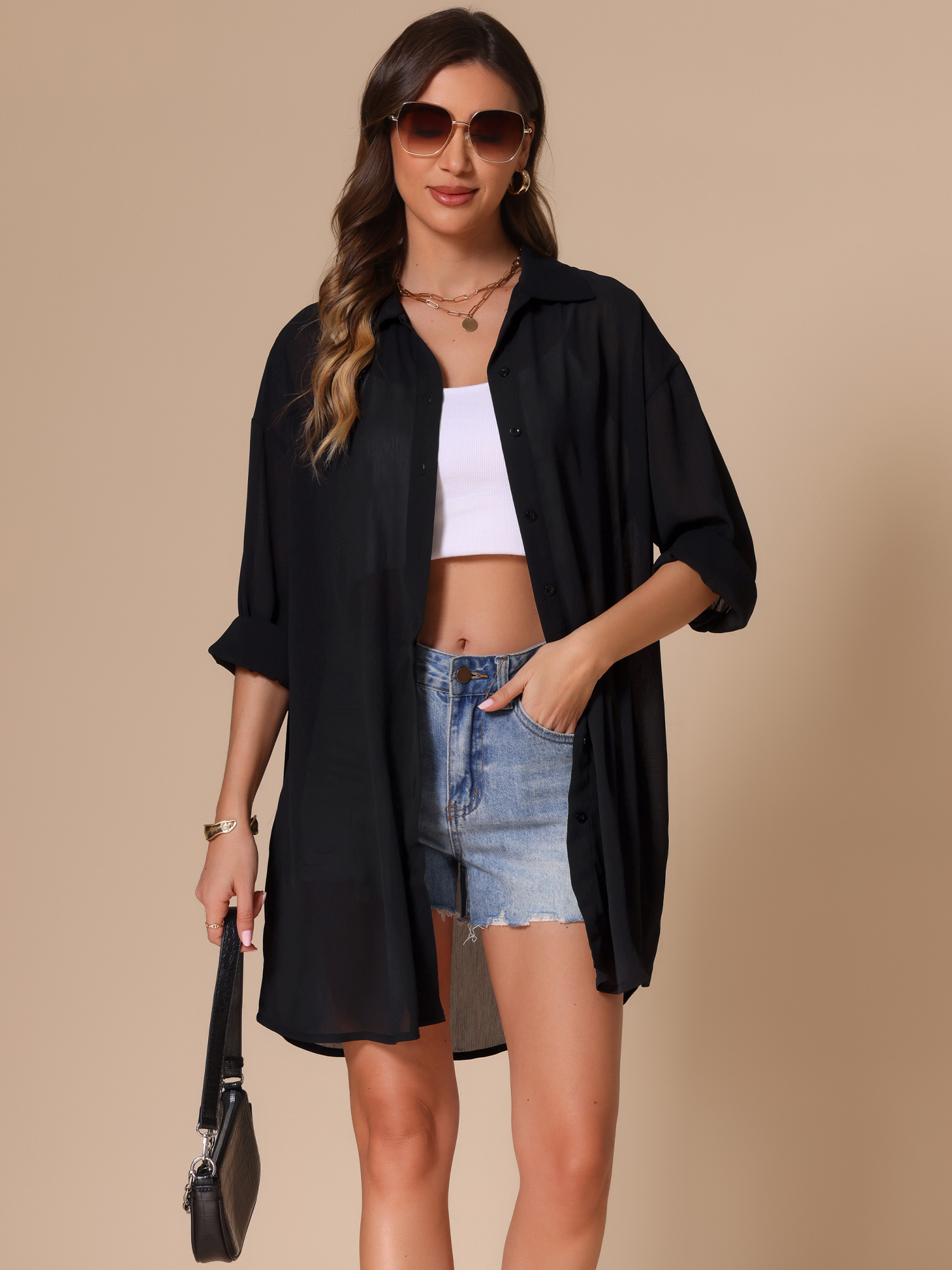 Button Down Long Sleeve Collared Sheer Blouse Black/XS